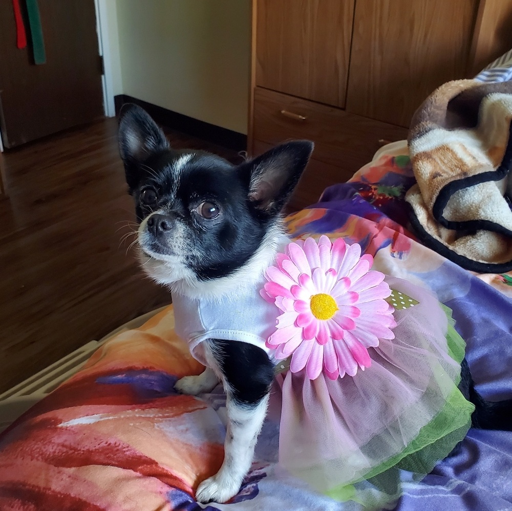 Meet your Posher, Aimee